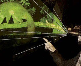 After Dark Nature Tours - New South Wales Tourism  0