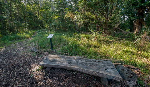 Browns Forest Loop Trail - New South Wales Tourism  0