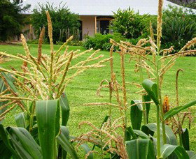 Experiment Farm Cottage - New South Wales Tourism  4