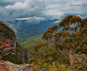 Australian Sightseeing And Photography Tours - New South Wales Tourism  0