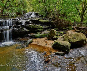 Australian Sightseeing And Photography Tours - New South Wales Tourism  1