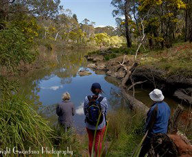 Australian Sightseeing And Photography Tours - New South Wales Tourism  5