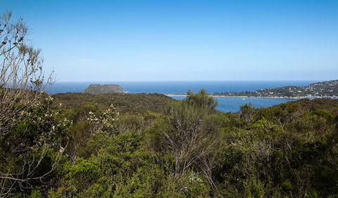 Aboriginal Heritage Walk - New South Wales Tourism  1