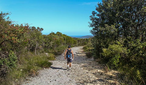 Aboriginal Heritage Walk - New South Wales Tourism  3