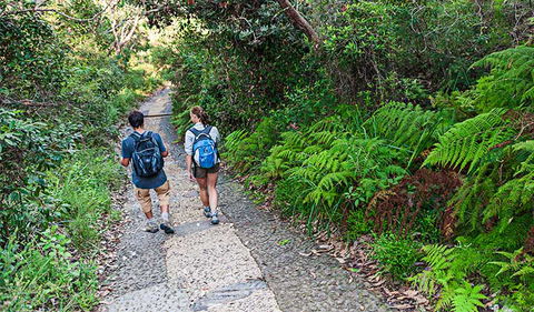 Barrenjoey Lighthouse - New South Wales Tourism  3