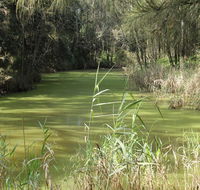 Second Ponds Creek walk - New South Wales Tourism 