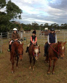 Sydney Trail Riding Centre - New South Wales Tourism  2