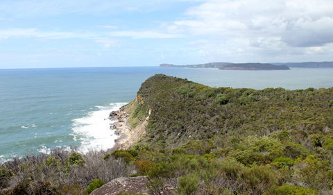 Box Head Track - New South Wales Tourism  2