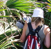 Palm Jungle loop track - New South Wales Tourism 