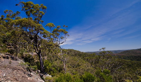 Marramarra National Park - New South Wales Tourism  1