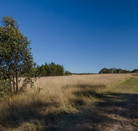 Scheyville horse riding trails - New South Wales Tourism 