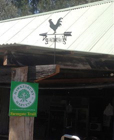 Canoelands Orchard - New South Wales Tourism  3