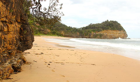 Bouddi Coastal Walk - New South Wales Tourism  1