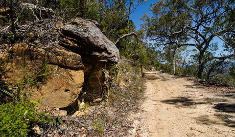 Canoelands Ridge Walking Track - New South Wales Tourism  0