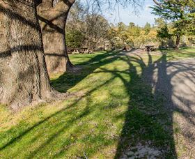 Bald Hill Lookout - New South Wales Tourism  4