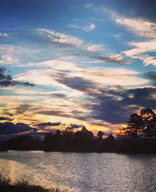 Governor Phillip Park - New South Wales Tourism  0