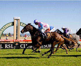Hawkesbury Race Club - New South Wales Tourism  1