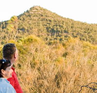 Piles Creek loop - New South Wales Tourism 