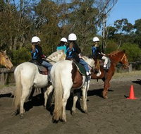 Darkes Forest Riding Ranch - New South Wales Tourism 
