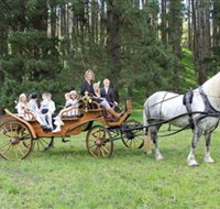 Classic Carriage Drives - New South Wales Tourism 