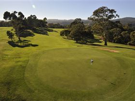 Mount Osmond Golf Club - New South Wales Tourism  2