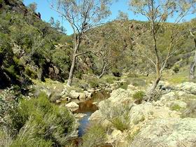 Saunders Gorge Sanctuary - New South Wales Tourism  1