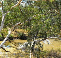 Quilberry Creek Fishing - New South Wales Tourism 