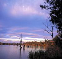 Loch Luna Game Reserve and Moorook Game Reserve - New South Wales Tourism 