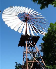 Barcaldine Windmill - New South Wales Tourism  1