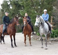 Academy of Dressage - New South Wales Tourism 