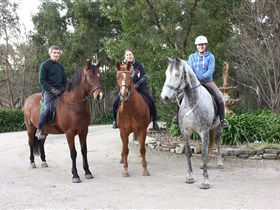 Academy Of Dressage - New South Wales Tourism  0
