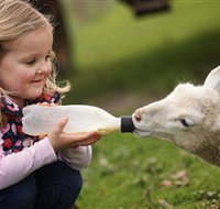 Hahndorf Farm Barn - New South Wales Tourism 