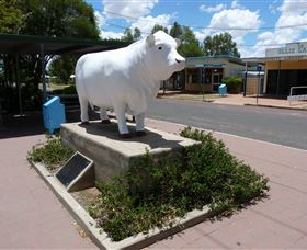 Aramac - The White Bull - New South Wales Tourism  2