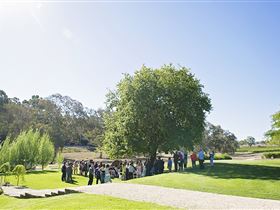 Howard Vineyard - New South Wales Tourism  1