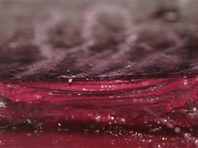 Adelaide Winemakers - New South Wales Tourism  2