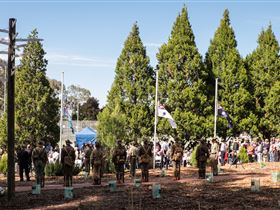 Macclesfield ANZAC Memorial Gardens - New South Wales Tourism  1