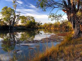 Murray River National Park - New South Wales Tourism  0