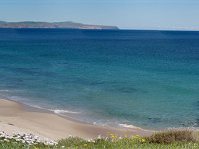 Carrickalinga Beach - New South Wales Tourism  1