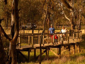 Loxton's Drives, Walks And Trails - New South Wales Tourism  0