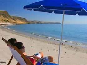 Lady Bay Beach - New South Wales Tourism  0