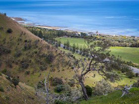 Lady Bay Beach - New South Wales Tourism  1