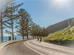 Lady Bay Beach - New South Wales Tourism  2