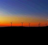 Starfish Hill Windfarm - New South Wales Tourism 