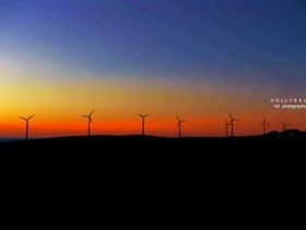 Starfish Hill Windfarm - New South Wales Tourism  0