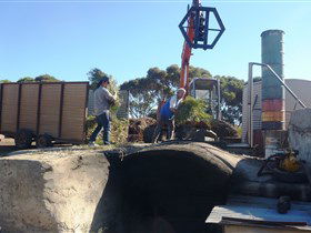 Emu Ridge Eucalyptus - New South Wales Tourism  1