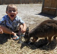 Animal Farm Goolwa - New South Wales Tourism 
