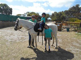 Animal Farm Goolwa - New South Wales Tourism  2