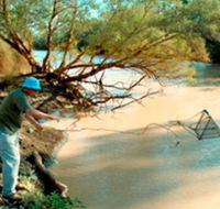 Charleville - Ward River Fishing Spot - New South Wales Tourism 