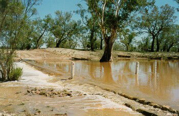 Charleville - Ward River Fishing Spot - New South Wales Tourism  2