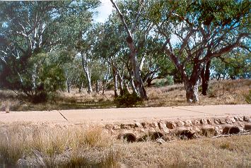 Charleville - Ward River Fishing Spot - New South Wales Tourism  1